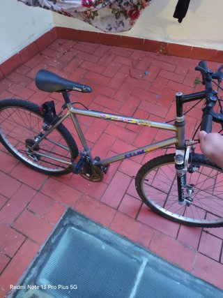 Bicicleta de montaña