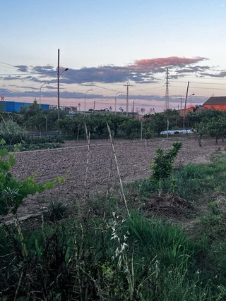 Parcelas de huerto para alquilar en Valencia Sur