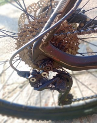 Olympia MTB Carbonio