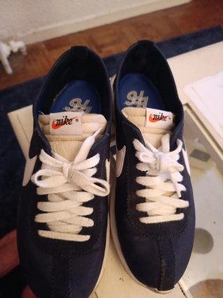 Zapatillas Nike Azul y Blanco