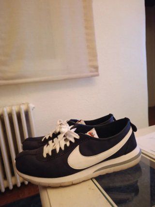 Zapatillas Nike Azul y Blanco