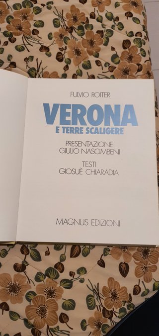 VERONA E TERRE SCALIGERE