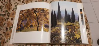VERONA E TERRE SCALIGERE