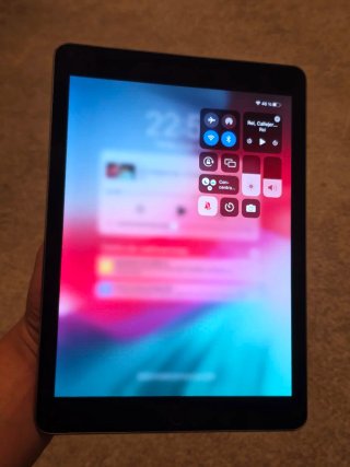 iPad Air 2 64GB WiFi Plata en buen estado
