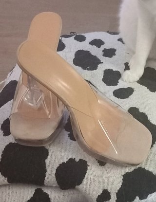 Zapatos Beige Transparentes