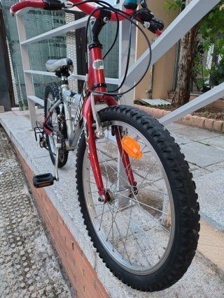 Bicicleta Infantil MTB 24 Delta Project