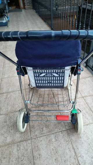 Cochecito de bebé edición especial