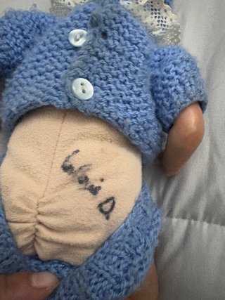 Bebé Reborn Pequeño
