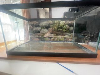 Pecera 60L 60x30x32