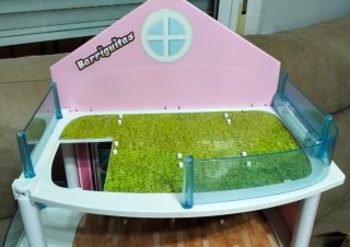 Barriguitas Edificio loco