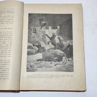 Libro vecchio - Gesù Cristo non è mai esistito