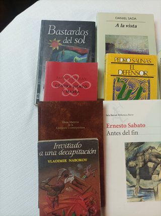 Lote de literatura (8 títulos)