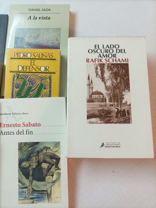 Lote de literatura (8 títulos)