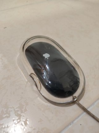 Ratones Apple Pro Mouse (Negro y Beige)