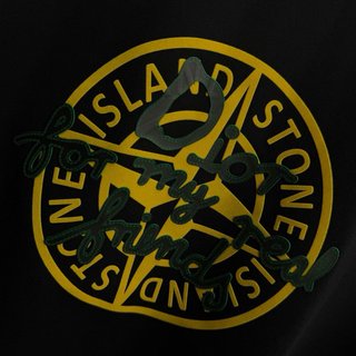 Camiseta Stone Island x Dior