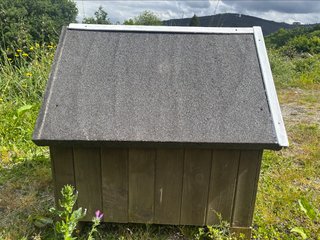 Caseta Perro Madera Maciza