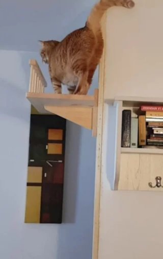 Puente para gato madera artesanal