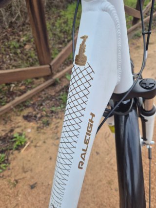 Bicicleta Raleigh ciudad
