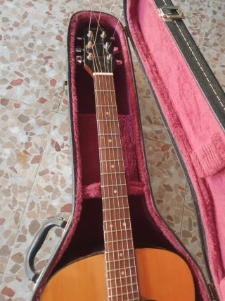Guitarra Acústica Samick LW-0256