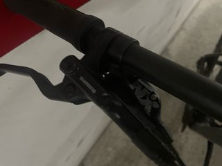 Orbea Alma M50-Eagle R29