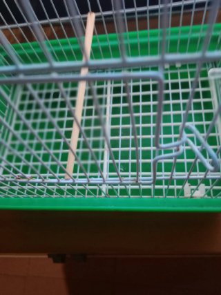 2 Jaulas para pájaros