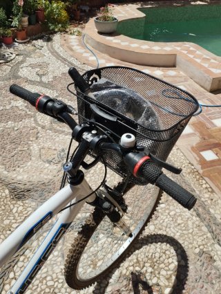 Bicicleta de montaña blanca con cesta