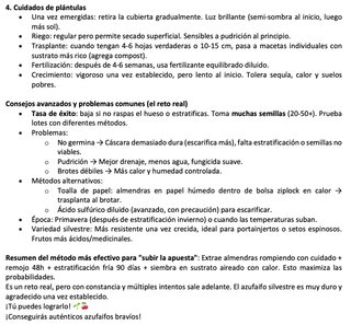 15 Semillas Azufaifo Borde/Bravía