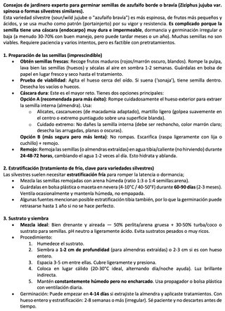 15 Semillas Azufaifo Borde/Bravía