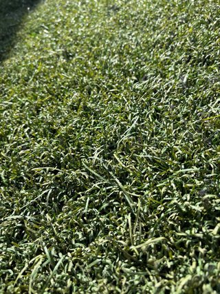 Cesped artificial reciclado