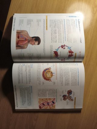 BIOLOGIA Y GEOLOGIA 3 (COMUNIDAD EN RED)