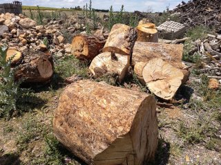 Troncos de madera para leña