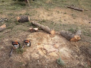 Troncos de madera para leña