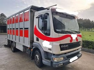 Camión Ganadero DAF 45.220