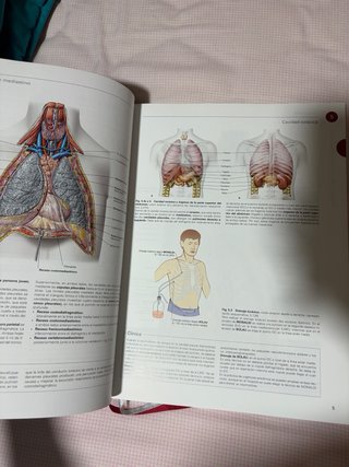 Atlas de anatomía humana sobotta órganos internos