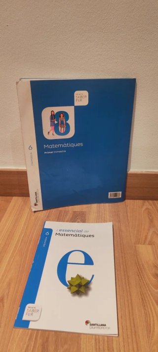 Matemáticas 6 Primaria