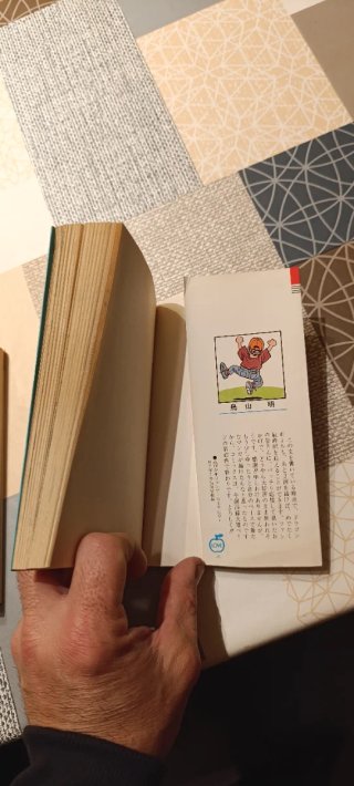 Dos tomos DRAGON BALL JAPONESES num . 41-42