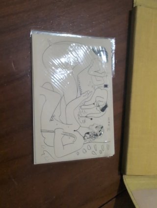 Carpeta Picasso - 12 Litografías (Edición Vintage)