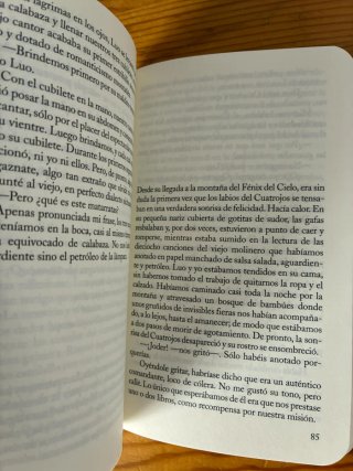 Novela contemporánea