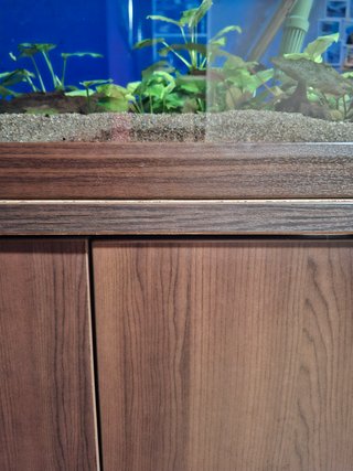 Acuario 240L con mueble eheim