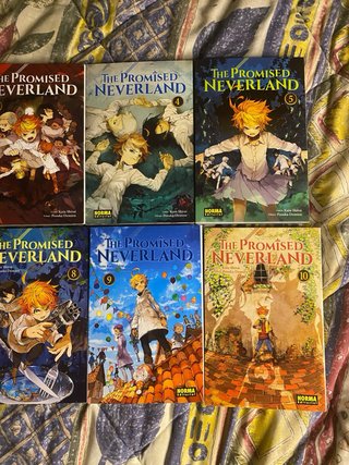 THE PROMISED NEVERLAND