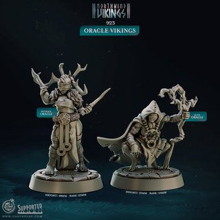 Oráculo Vikingo Miniatura Resina D&D