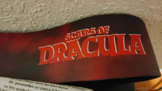 Perri's Leathers Correa guitarra Scars of Dracula