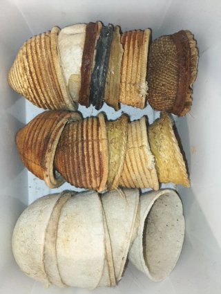 Fundas filtro para pájaros