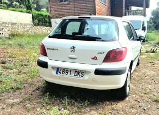 Peugeot 307 2006