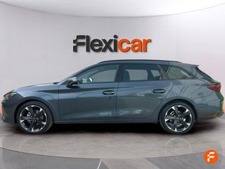 Cupra León SP 1.5 eTSI 110kW (150CV) DSG