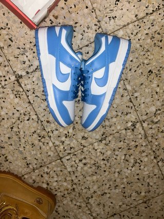 Nike Dunk Low Azul y Blanco