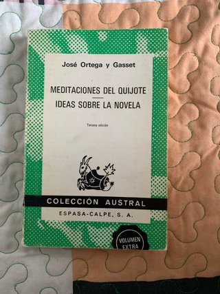 Jose Ortega y gasset Meditaciones sobre el quijote