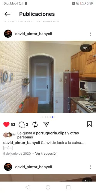 Pintor banyolí