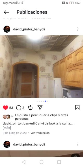 Pintor banyolí