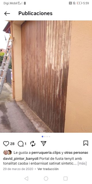 Pintor banyolí